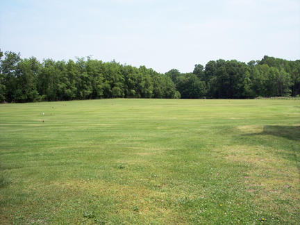 Gems Zoysia Farm Field